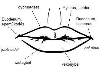 szajdiagnosztika